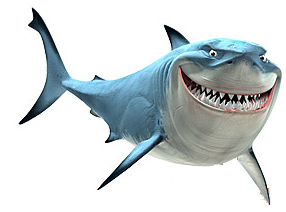 Shark